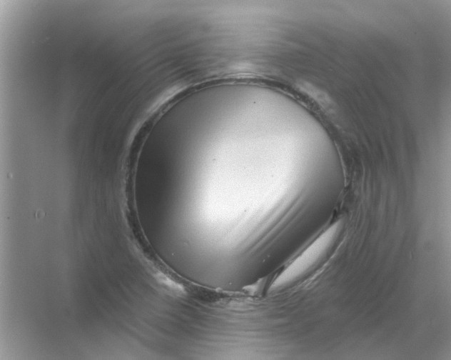 X0000069791410200606091731