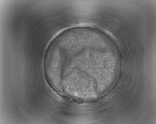 X0000069791412200606091731