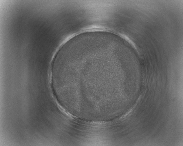 X0000069791413200606091731