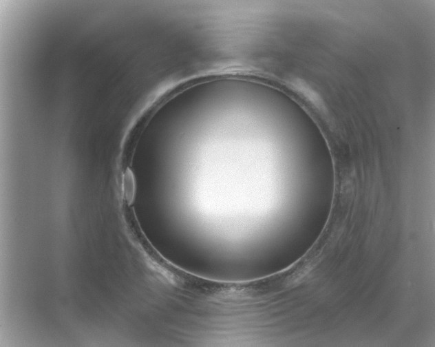 X0000069791414200606091731