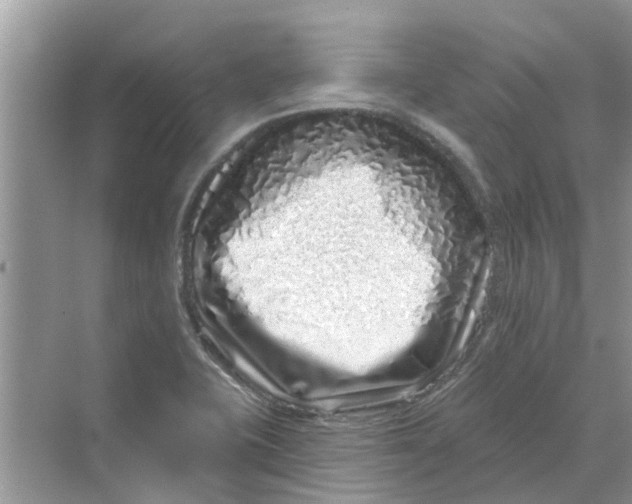 X0000069791415200606091731