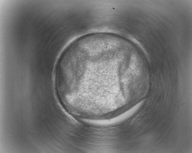 X0000069791416200606091731