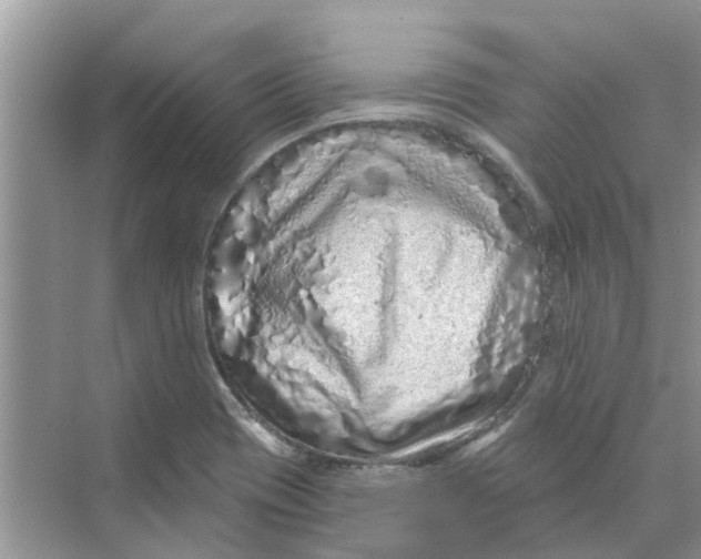 X0000069791417200606091731