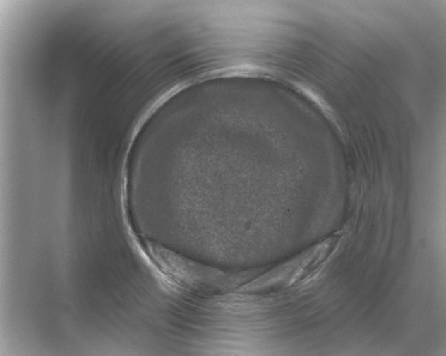 X0000069791418200606091731