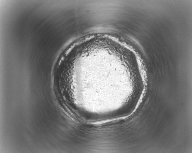 X0000069791419200606091731