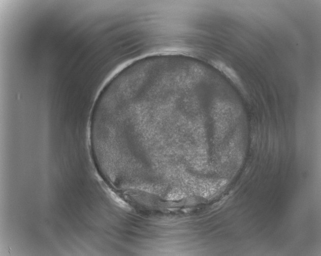 X0000069791420200606091731