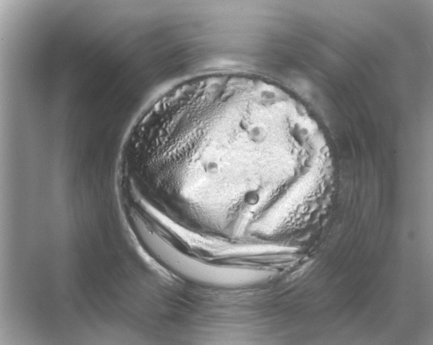 X0000069791421200606091731