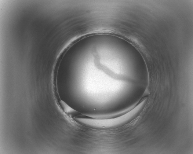 X0000069791422200606091731