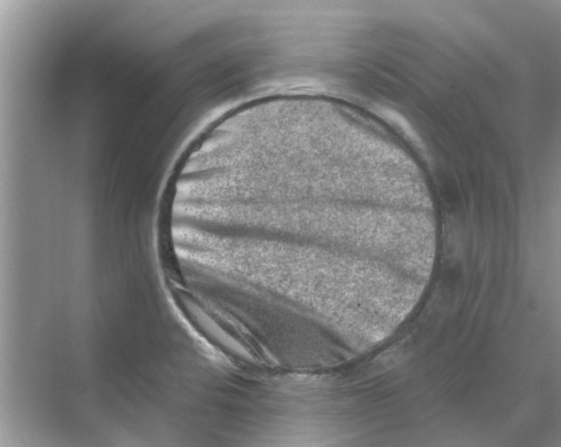 X0000069791424200606091731