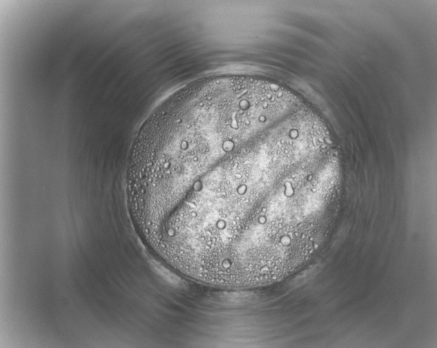 X0000069791425200606091731