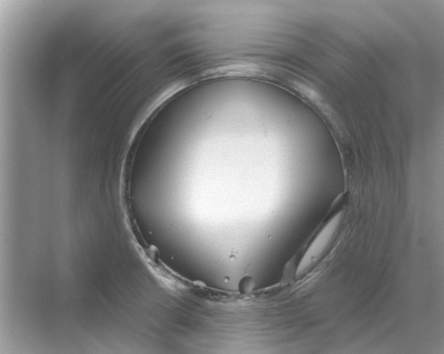 X0000069791426200606091731