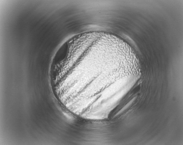 X0000069791427200606091731