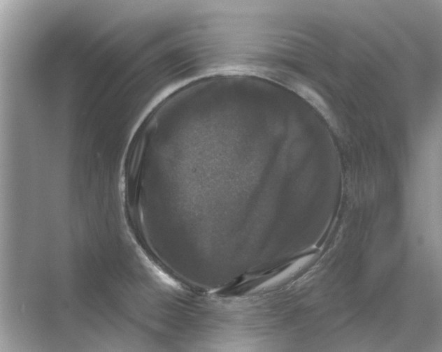 X0000069791428200606091731