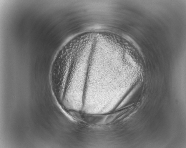 X0000069791429200606091731