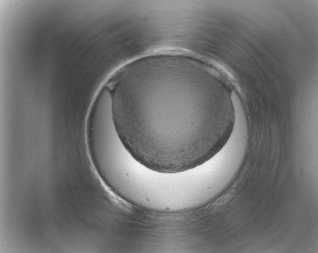 X0000069791430200606091731