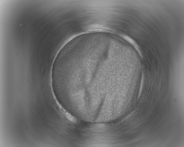 X0000069791431200606091731