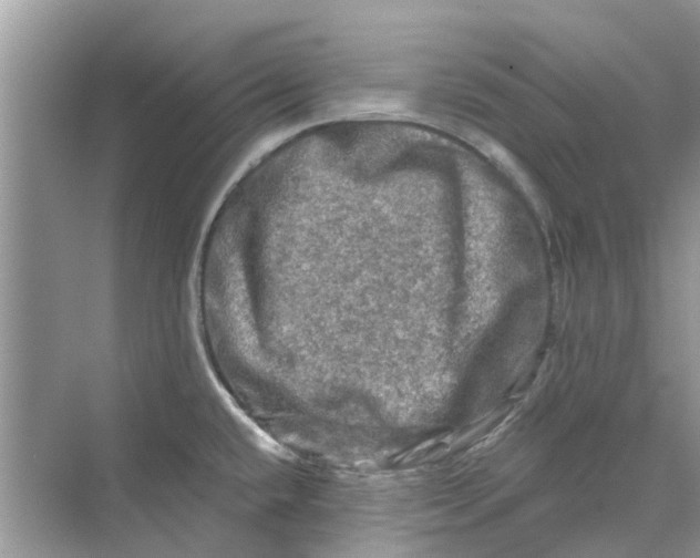 X0000069791432200606091731