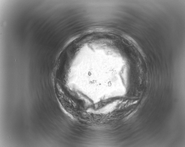 X0000069791433200606091731