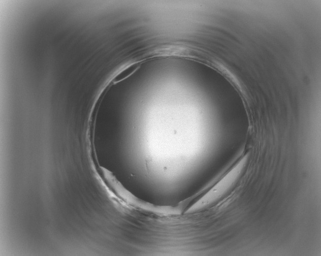 X0000069791434200606091731