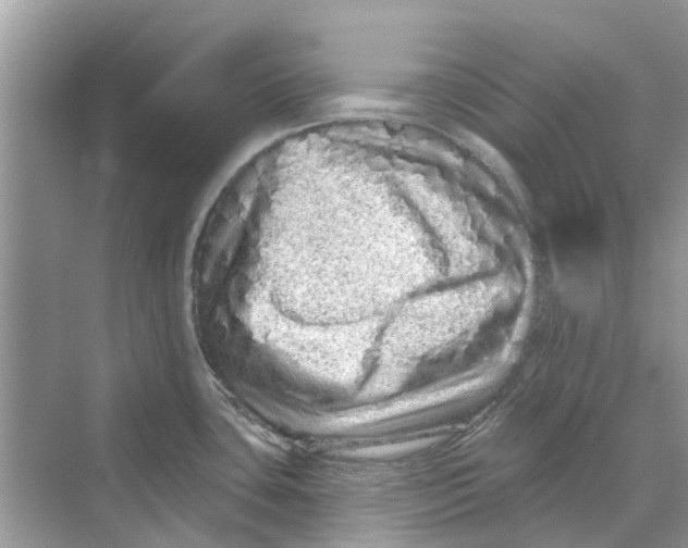 X0000069791435200606091731