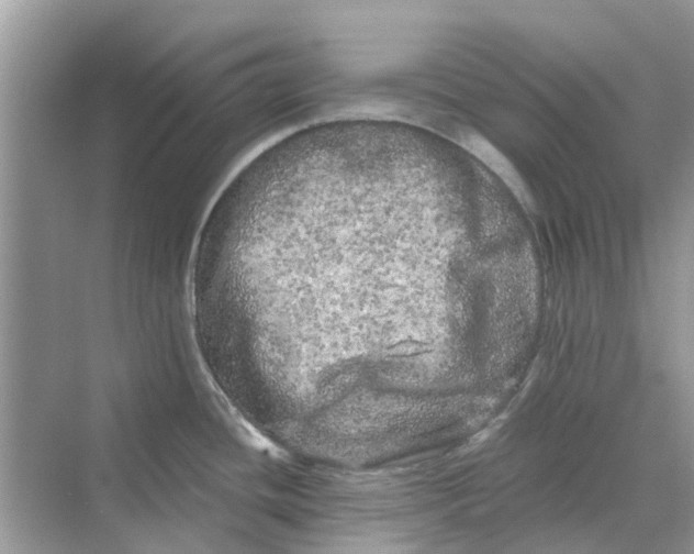 X0000069791436200606091731