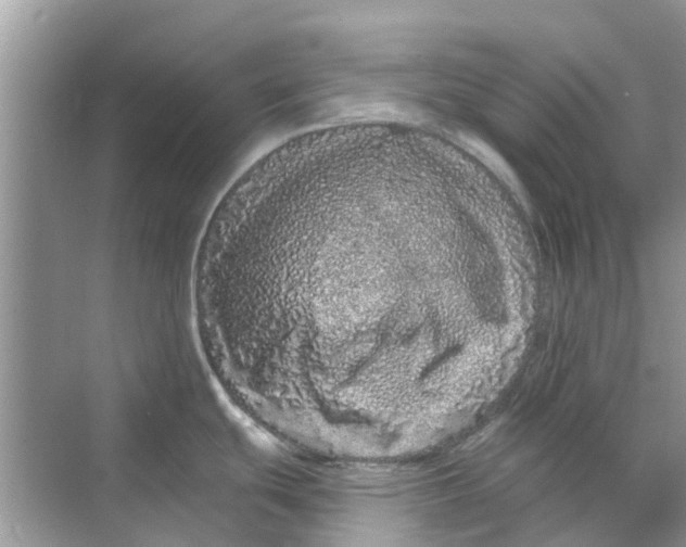 X0000069791439200606091731