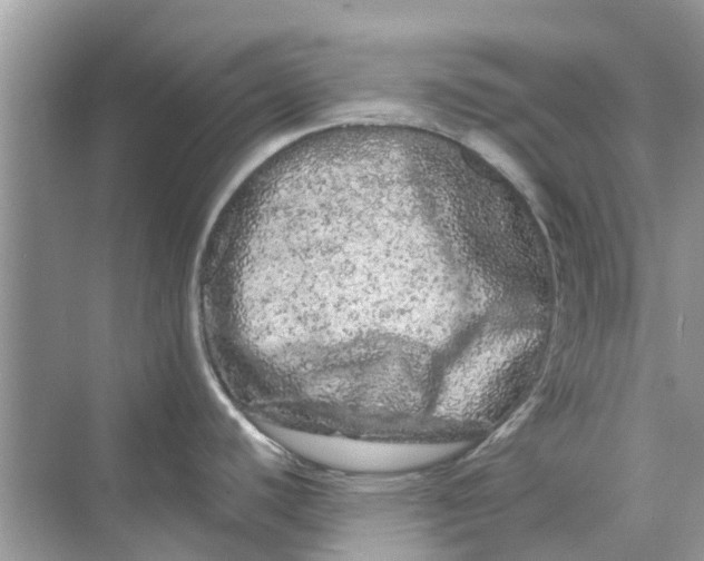 X0000069791440200606091731