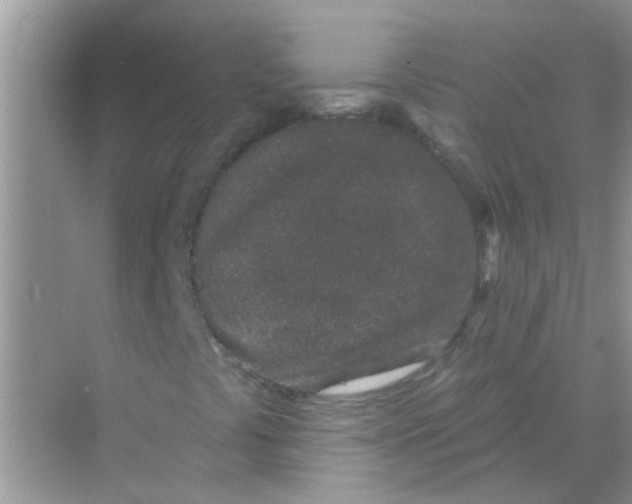 X0000069791441200606091731