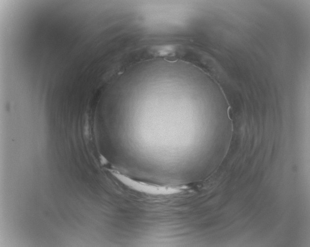 X0000069791442200606091731