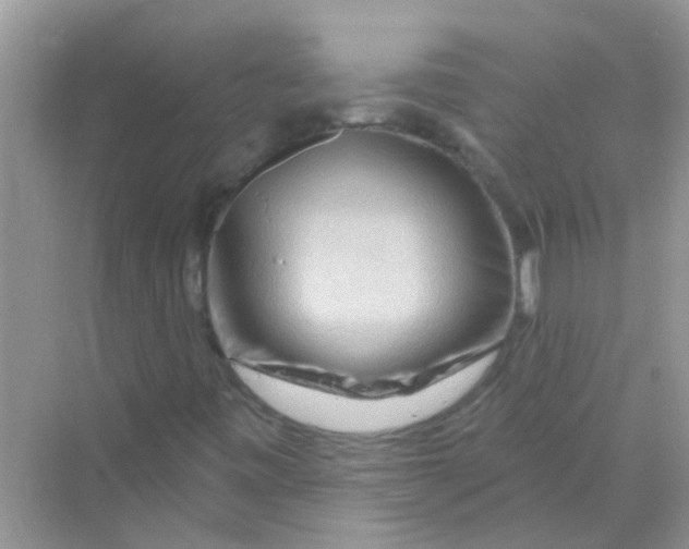 X0000069791443200606091731