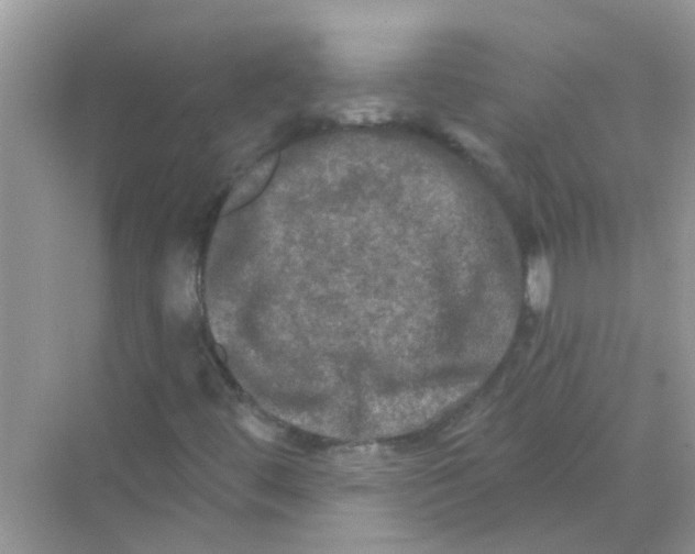 X0000069791444200606091731