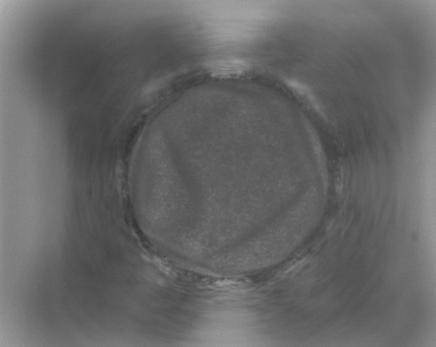 X0000069791445200606091731