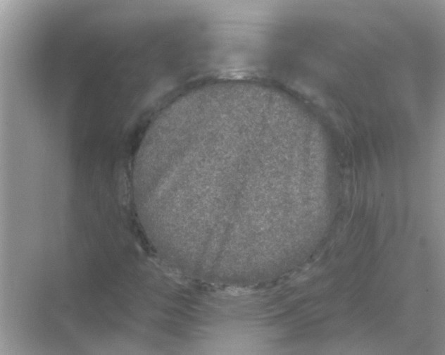 X0000069791446200606091731