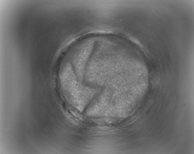 X0000069791448200606091731