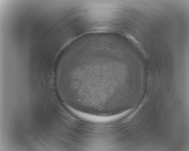 X0000069791449200606091730