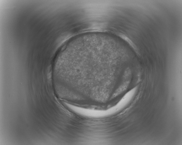 X0000069791450200606091730