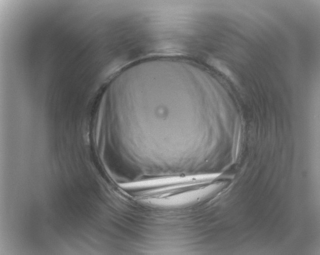 X0000069791451200606091730