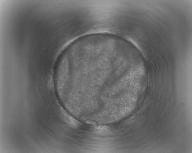 X0000069791452200606091730