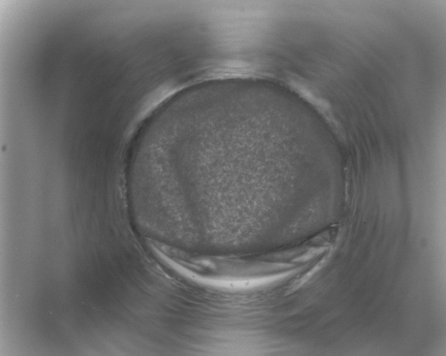 X0000069791453200606091730