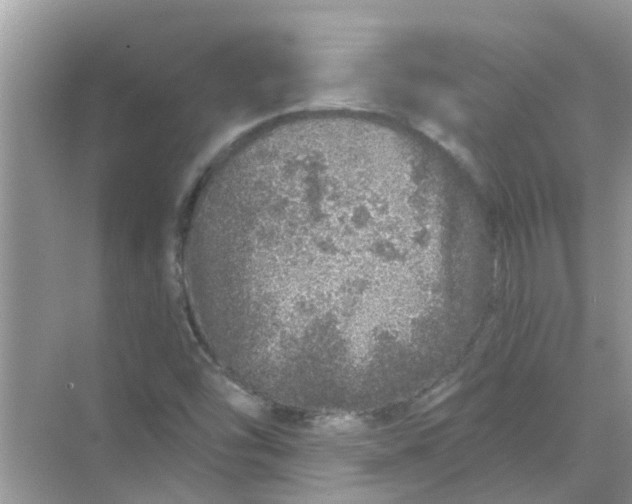 X0000069791454200606091730