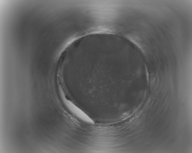 X0000069791455200606091730