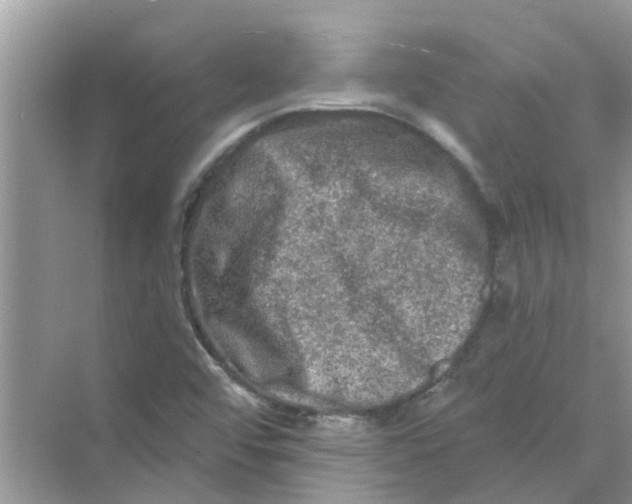 X0000069791456200606091730