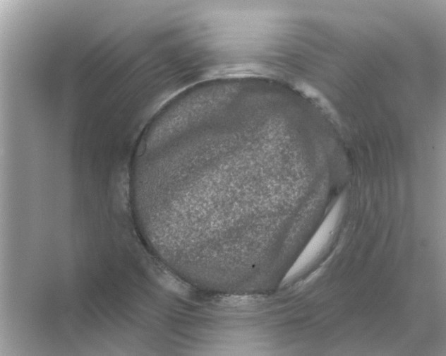 X0000069791457200606091730