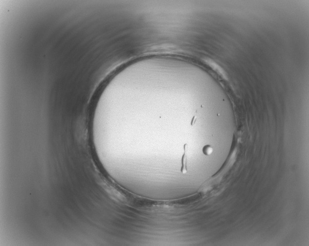 X0000069791458200606091730