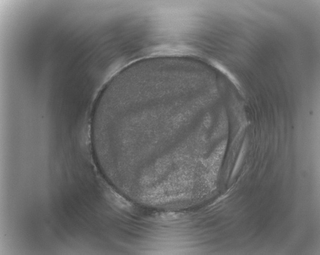 X0000069791459200606091730