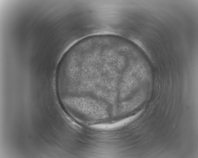 X0000069791460200606091730