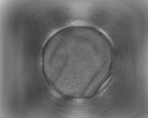 X0000069791461200606091730