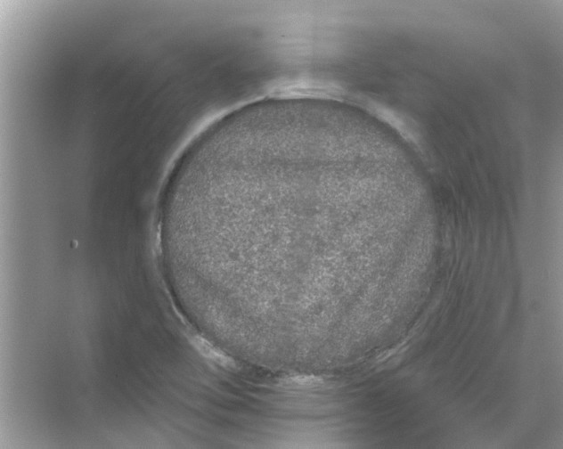 X0000069791462200606091730