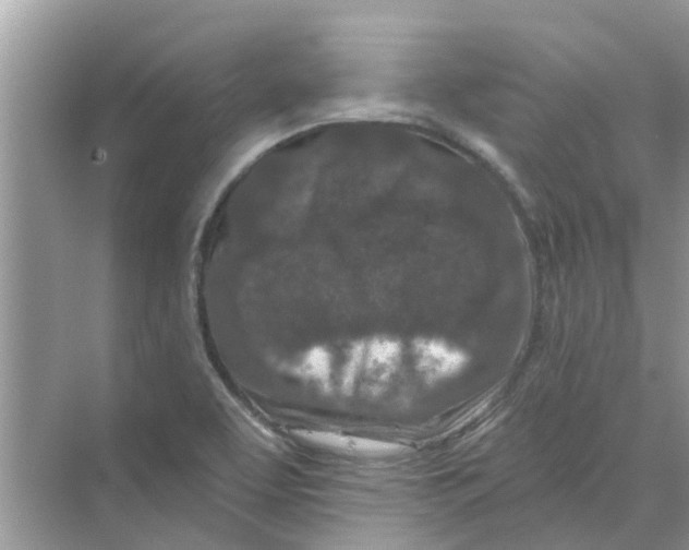 X0000069791463200606091730