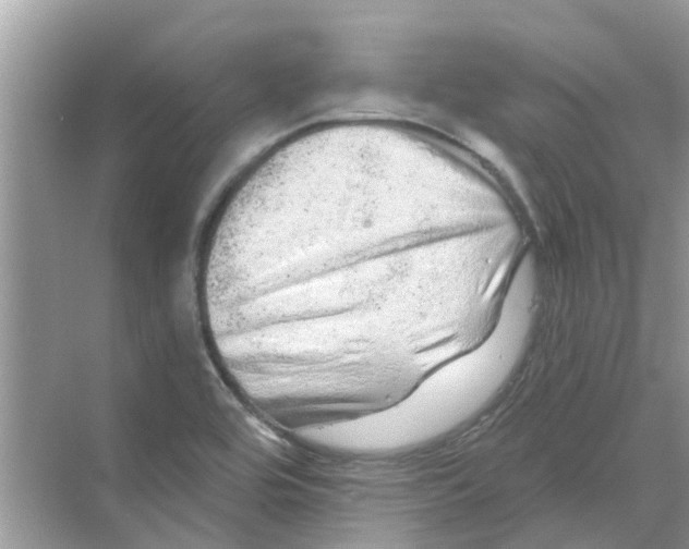 X0000069791464200606091730